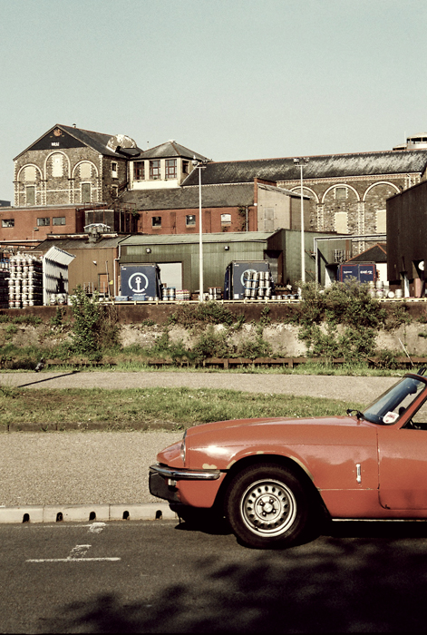 Cardiff to the See Ani Saunders