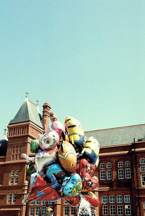 Cardiff to the See by Ani Saunders