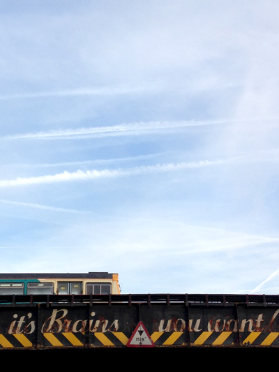 Brains by Cardiff to the See