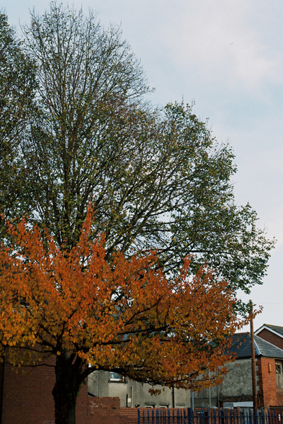 Fire | Tan by Cardiff to the See