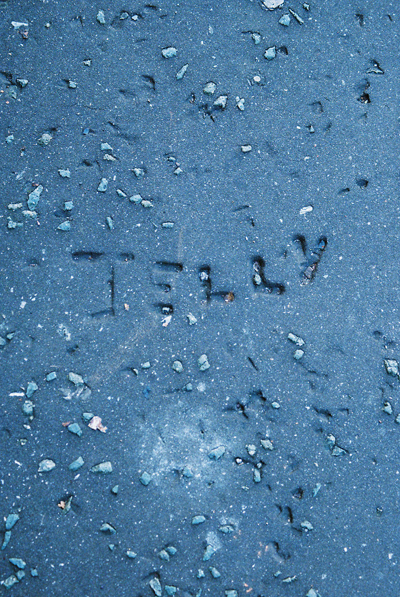 Jelly | Jeli by Cardiff to the See