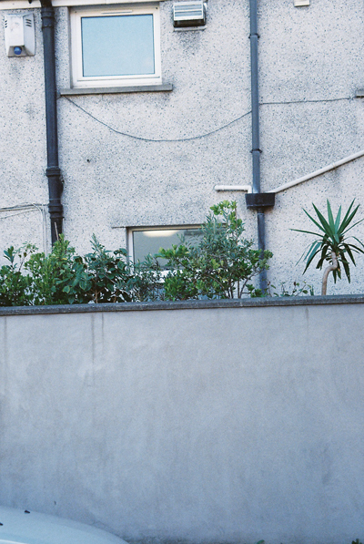 Life Line | Gorwel Bywyd by Cardiff to the See