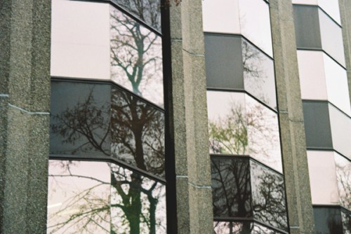 Tree x 3 | Coeden x 3 by Cardiff to the See