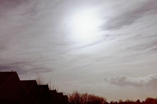 Birdseye View | Gwylan yn Gwylio by Cardiff to the See