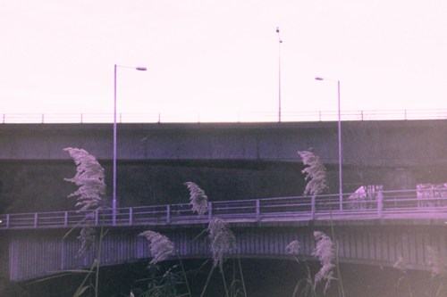 Roads | Ffyrdd by Cardiff to the See