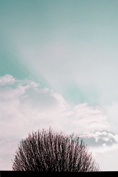 Hide and Seek | Coeden yn Cuddio by Cardiff to the See