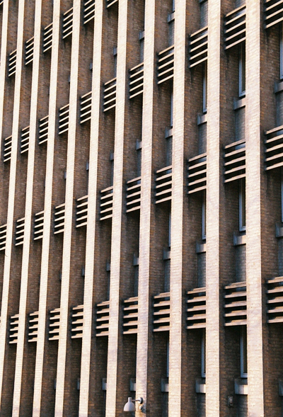 Little Ladders | Darnau Dringo by Cardiff to the See