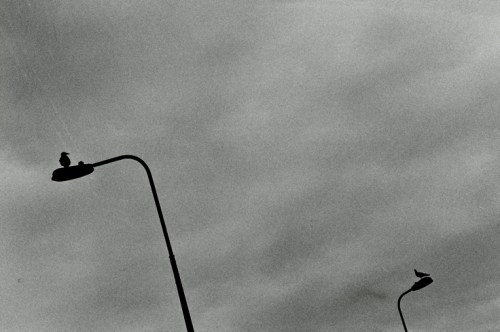 Autosave-File vom d-lab2/3 der AgfaPhoto GmbH