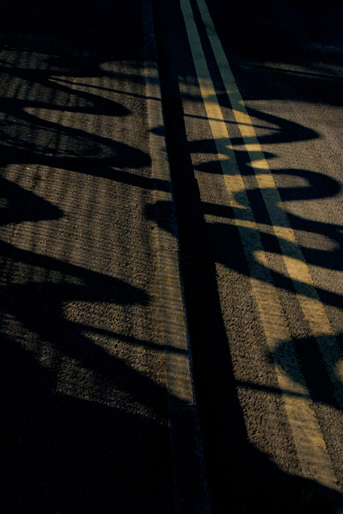 Shapes by Cardiff to the See