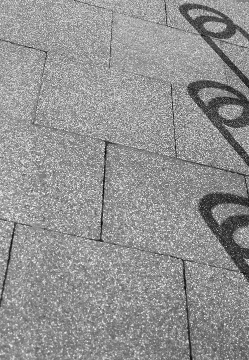 Shadow 1 | Cysgod 1 by Cardiff to the See