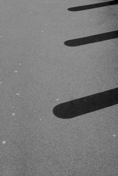 Shadow 4 | Cysgod 4 by Cardiff to the See