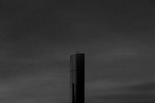 Gofod yn Galw - Cardiff to the See