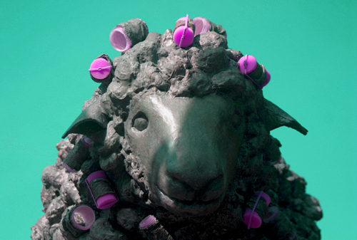 unexpected-sheep-dafad-doniol-by-cardiff-to-the-see