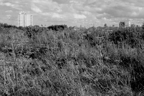 in-the-city-yn-y-ddinas-by-cardiff-to-the-see